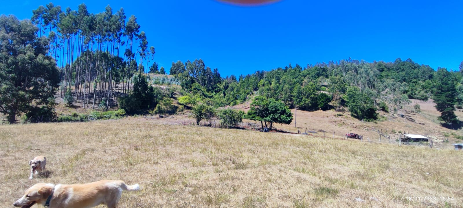 terreno-launion-los-rios