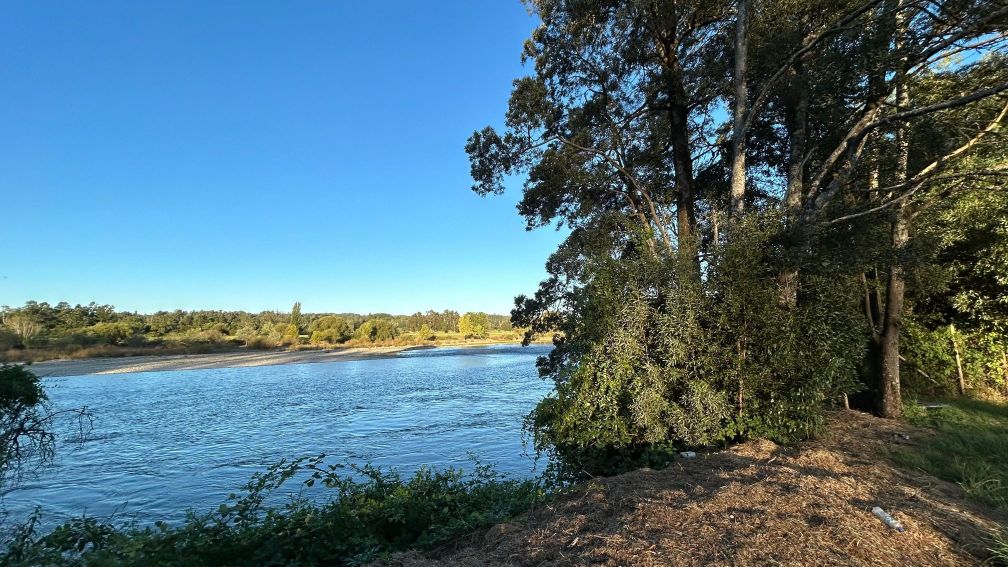 parecla-orilla-rio-antilhue-valdivia