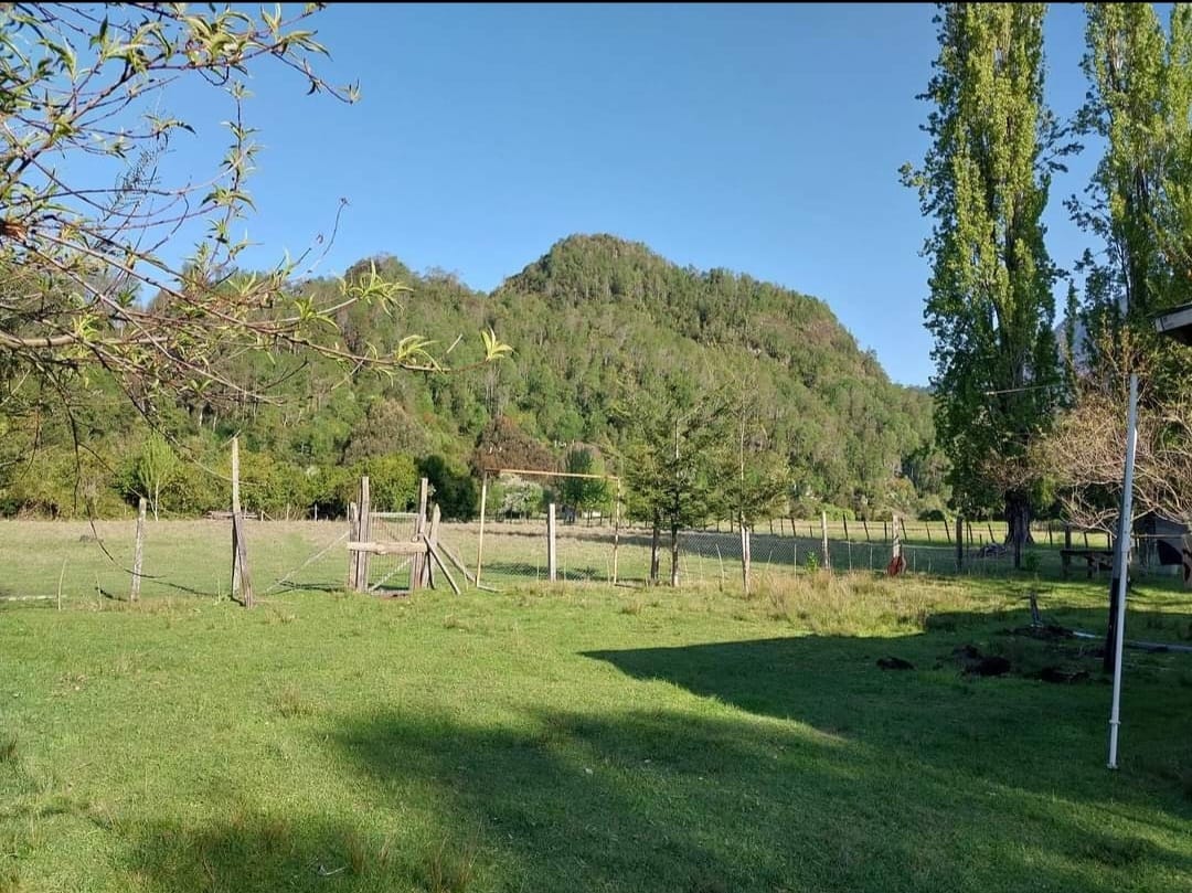 parcela-calcurrupe-lago-ranco