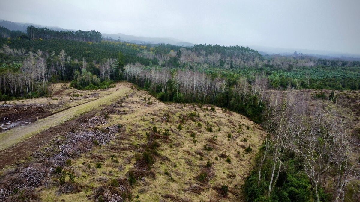 parcelas-chancoyan-valdivia