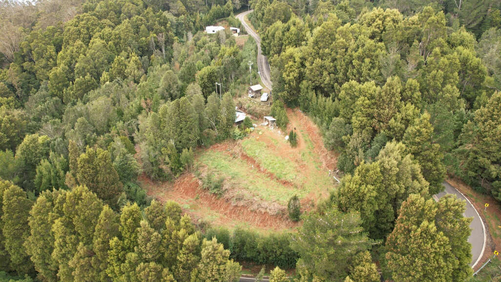 punucapa-valdivia