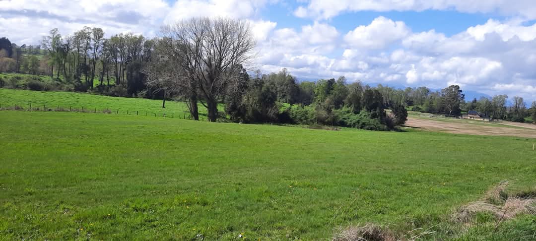 parcela-lago-ranco-los-rios