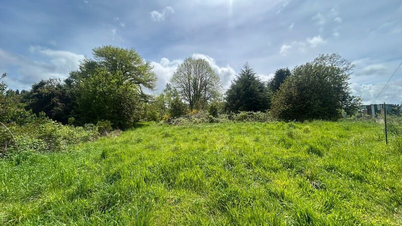 venta-parcela-cayumapu-valdivia