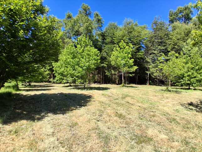 parcela-cayumapu-valdiviaa