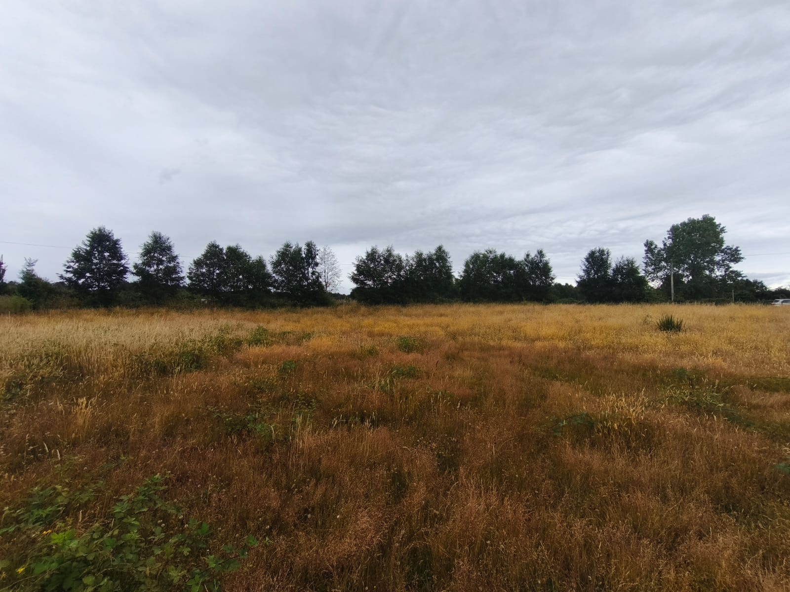 parcela-pitraco-valdivia