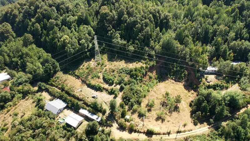 santa-elvira-valdivia