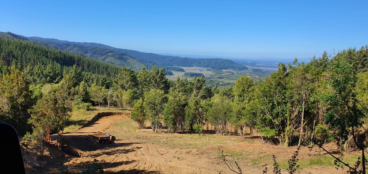 potrero-alto-valdivia