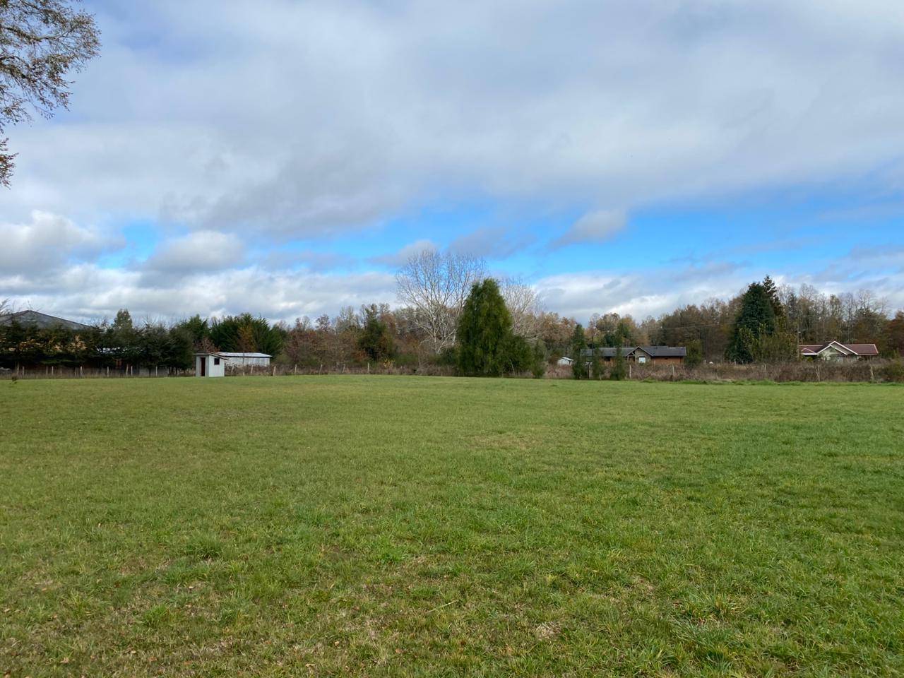 catripulli-valdivia-valdivia-los-rios